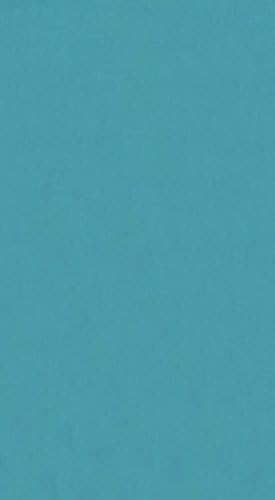 Dohler Solid Beach Towel in Turquoise