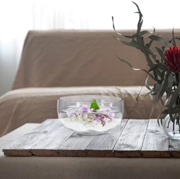 Serene Spaces Living Clear Glass Bowl 6 x 3
