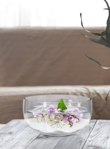 Serene Spaces Living Clear Glass Bowl 6 x 3