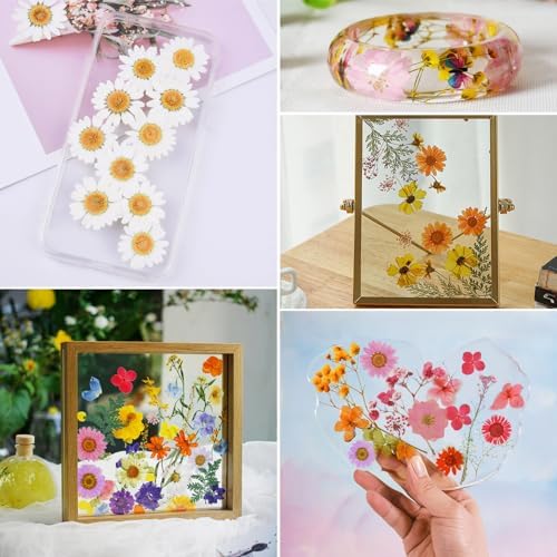 190 Pcs Dried Pressed Flowers for Resin Crafts 1