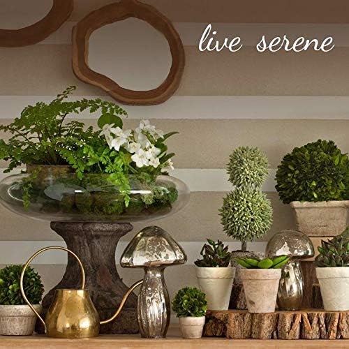 Serene Spaces Living Clear Glass Bowl 6 x 3