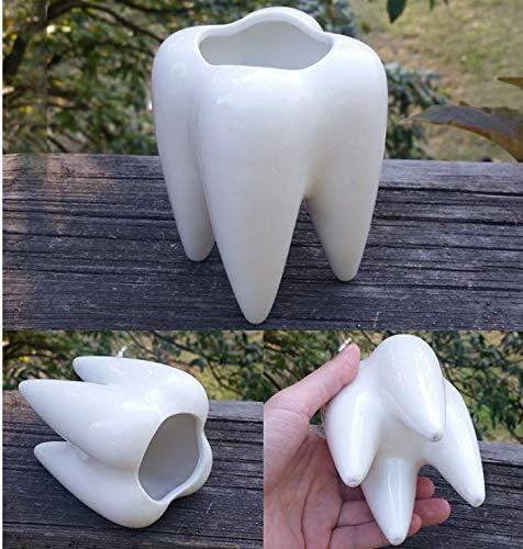 Cuteforyou Cartoon Animal Shaped Succulent Pots