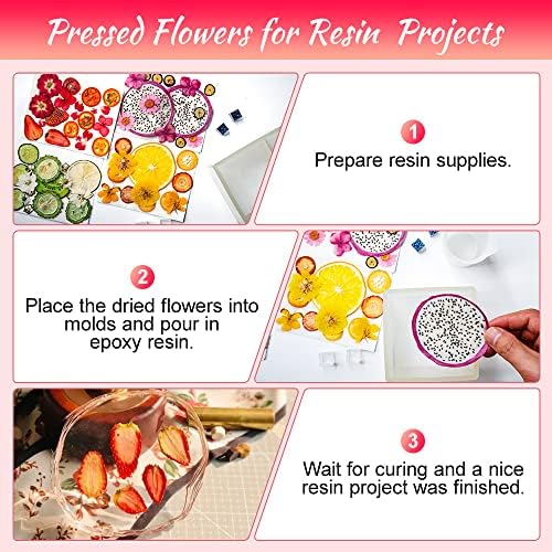 Blaflo Dried Flowers Fruits 60 Pieces Set for Resin Crafts