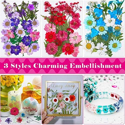 Thrilez 100Pcs Dried Flowers for Resin Crafts and DIY
