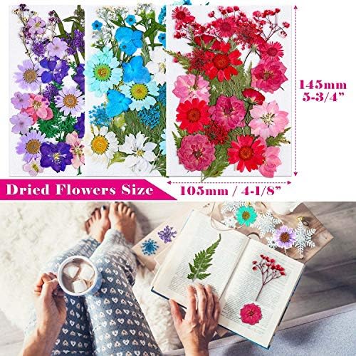Thrilez 100Pcs Dried Flowers for Resin Crafts and DIY