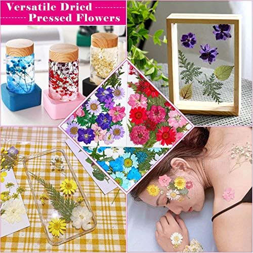 Thrilez 100Pcs Dried Flowers for Resin Crafts and DIY
