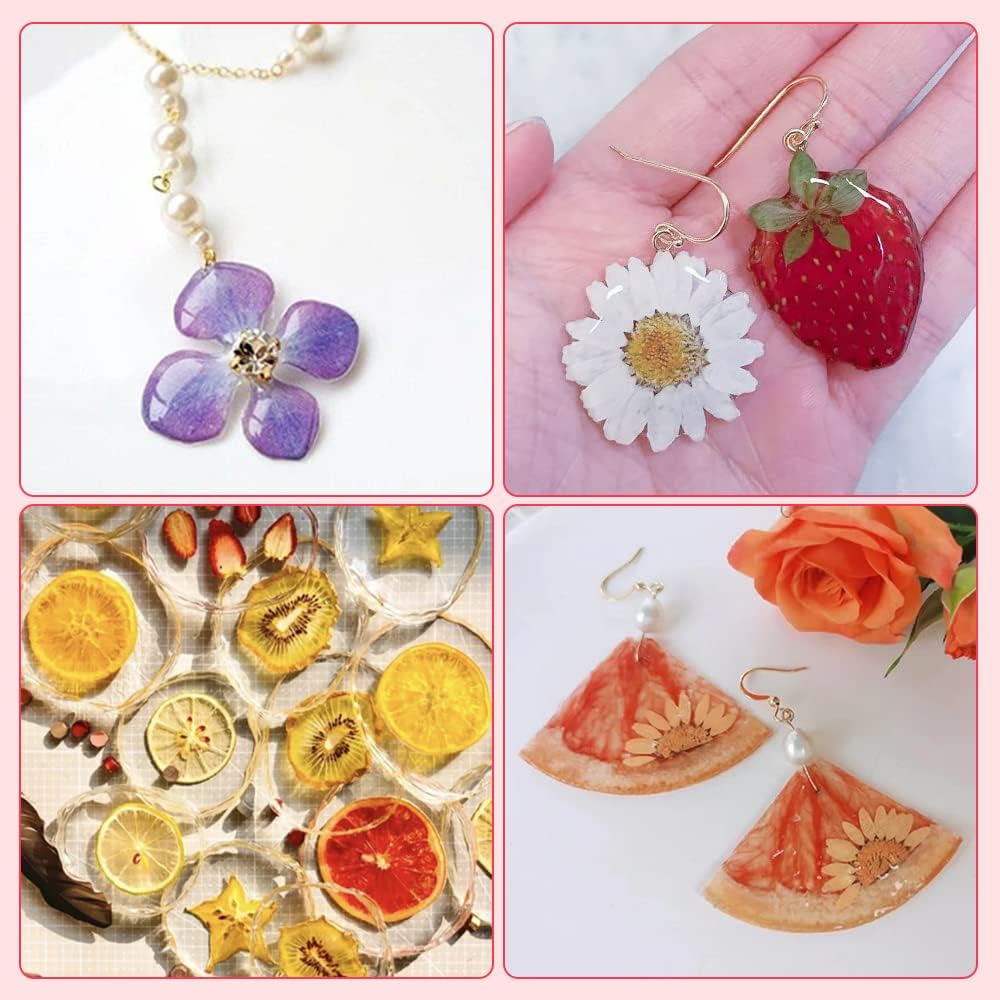 Blaflo Dried Flowers Fruits 60 Pieces Set for Resin Crafts