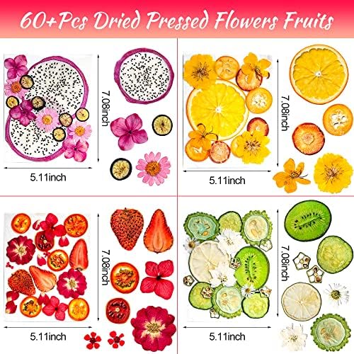 Blaflo Dried Flowers Fruits 60 Pieces Set for Resin Crafts