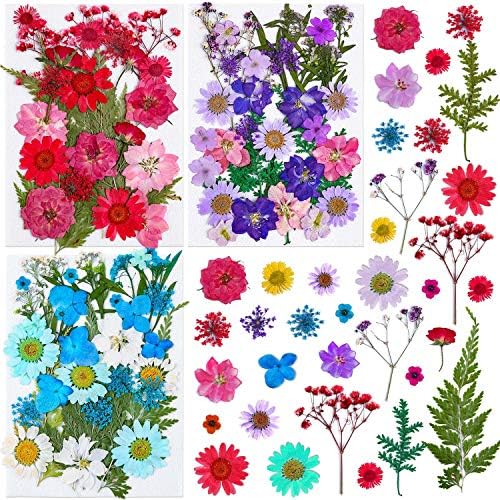 Thrilez 100Pcs Dried Flowers for Resin Crafts and DIY