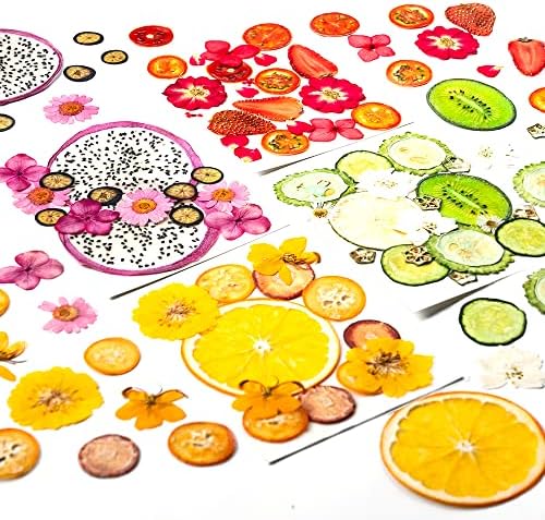 Blaflo Dried Flowers Fruits 60 Pieces Set for Resin Crafts
