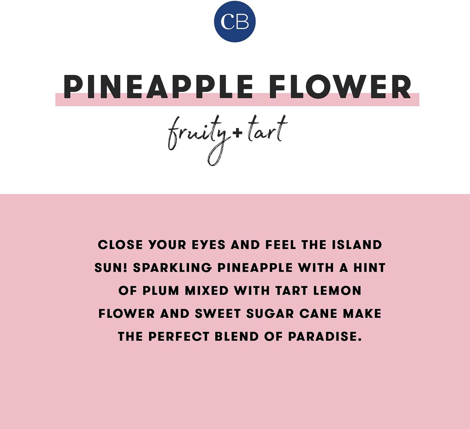 Capri Blue Pineapple Flower Travel Tin Candles - 85 oz
