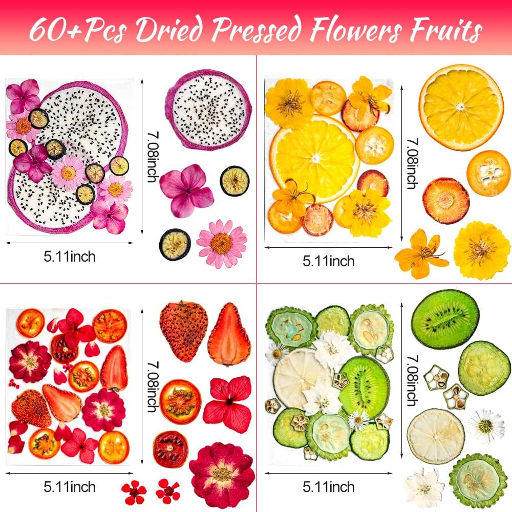 Blaflo Dried Flowers Fruits 60 Pieces Set for Resin Crafts