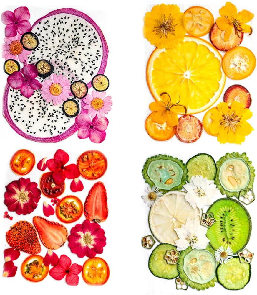 Blaflo Dried Flowers Fruits 60 Pieces Set for Resin Crafts