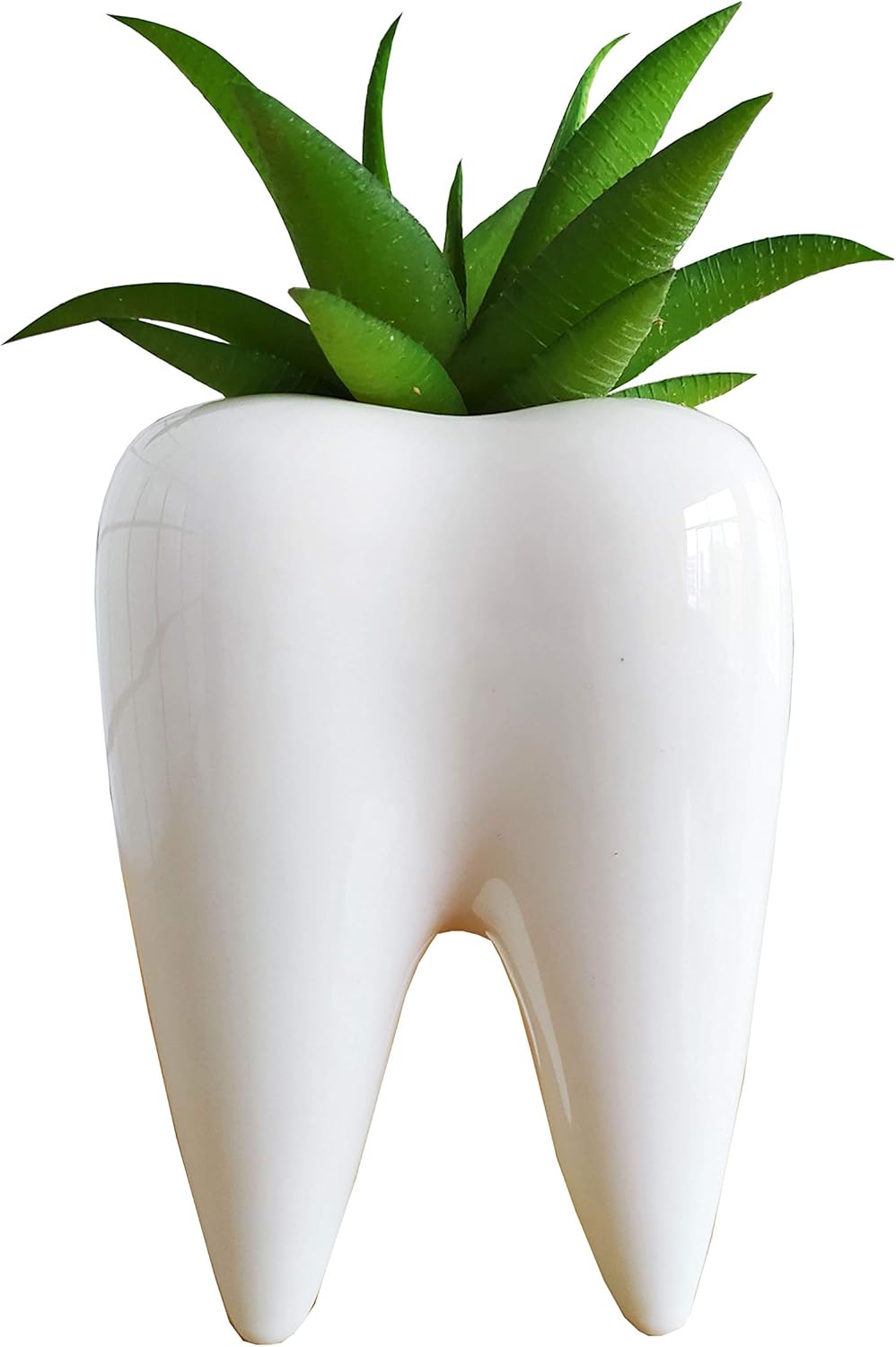Cuteforyou Cartoon Animal Shaped Succulent Pots