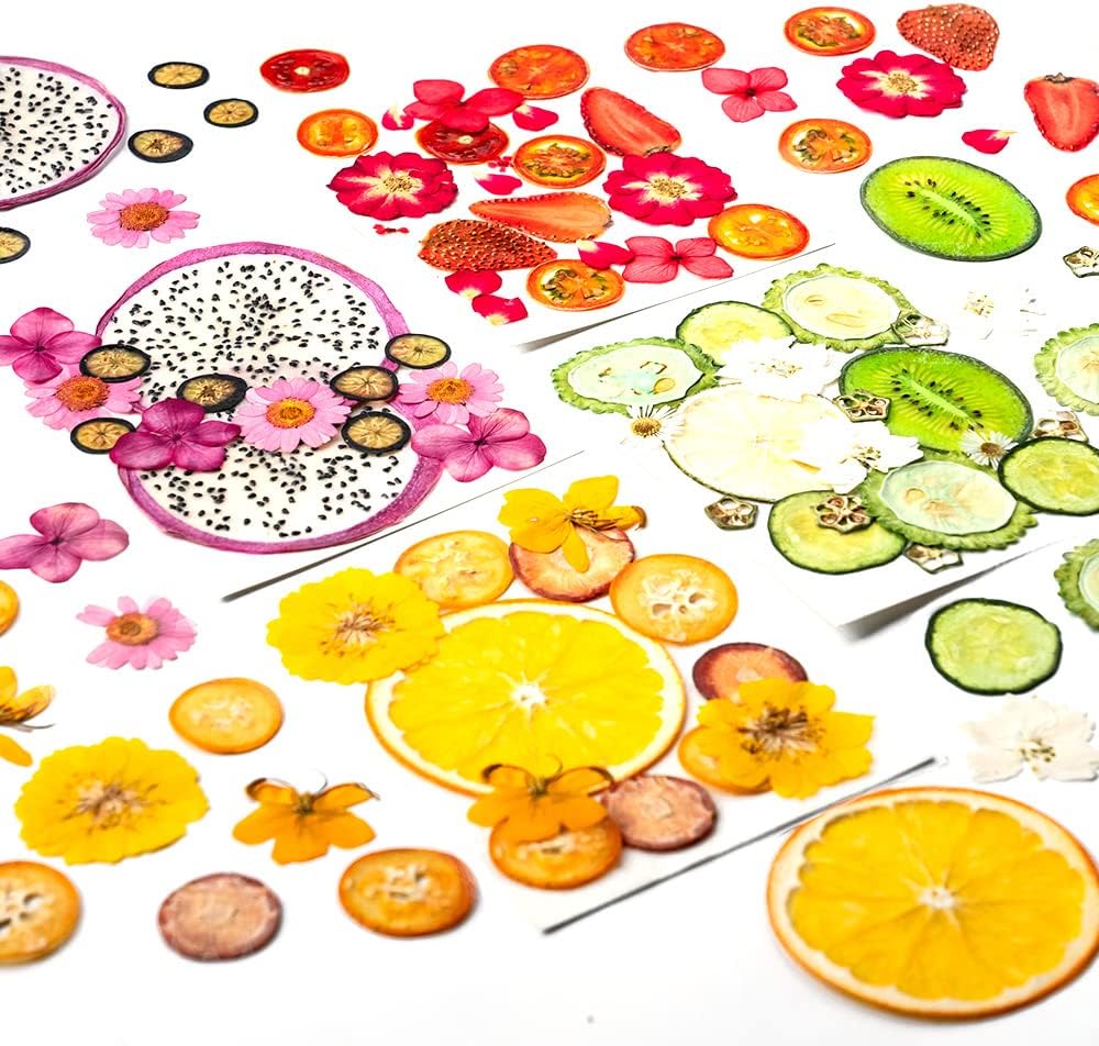 Blaflo Dried Flowers Fruits 60 Pieces Set for Resin Crafts