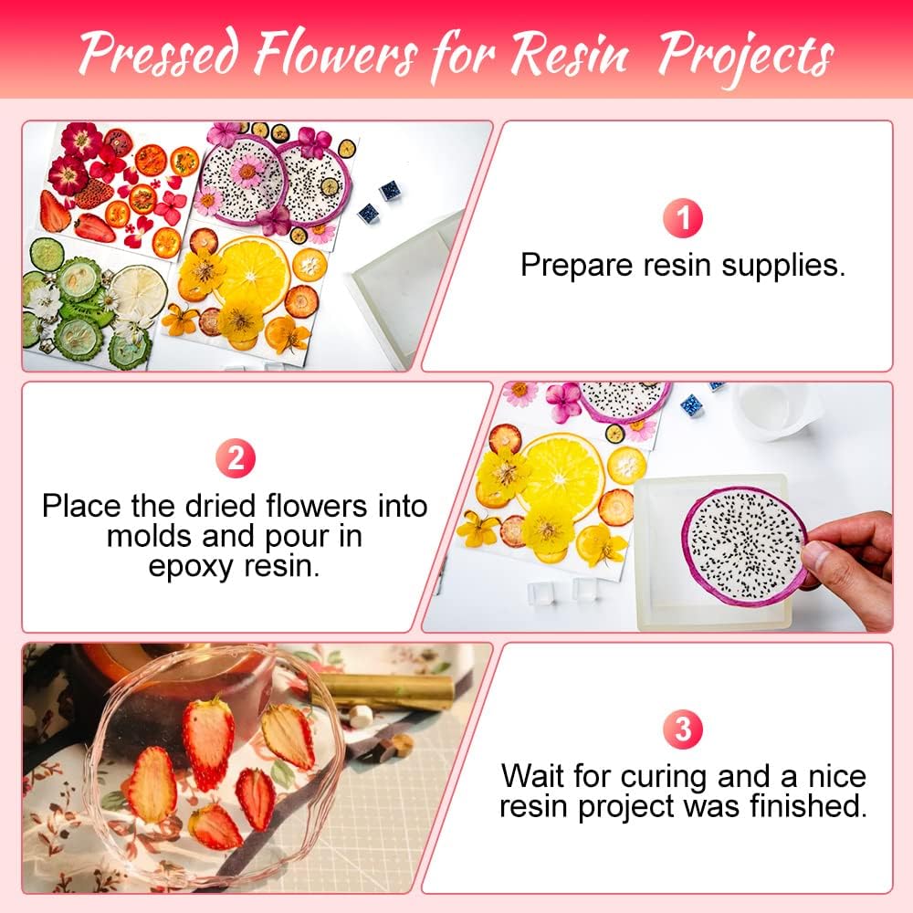 Blaflo Dried Flowers Fruits 60 Pieces Set for Resin Crafts