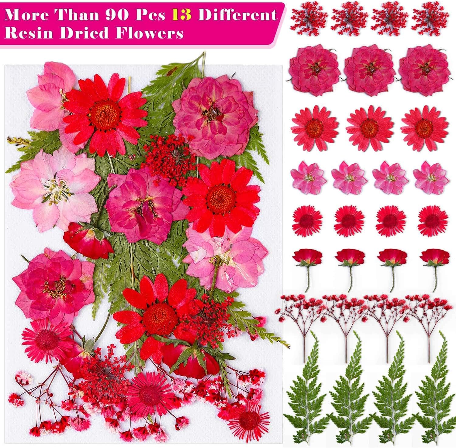 Thrilez 100Pcs Dried Flowers for Resin Crafts and DIY