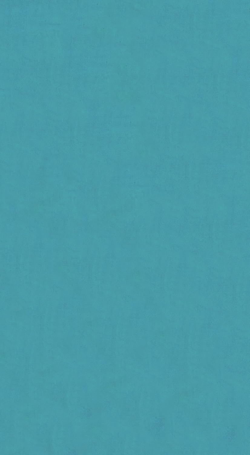 Dohler Solid Beach Towel in Turquoise