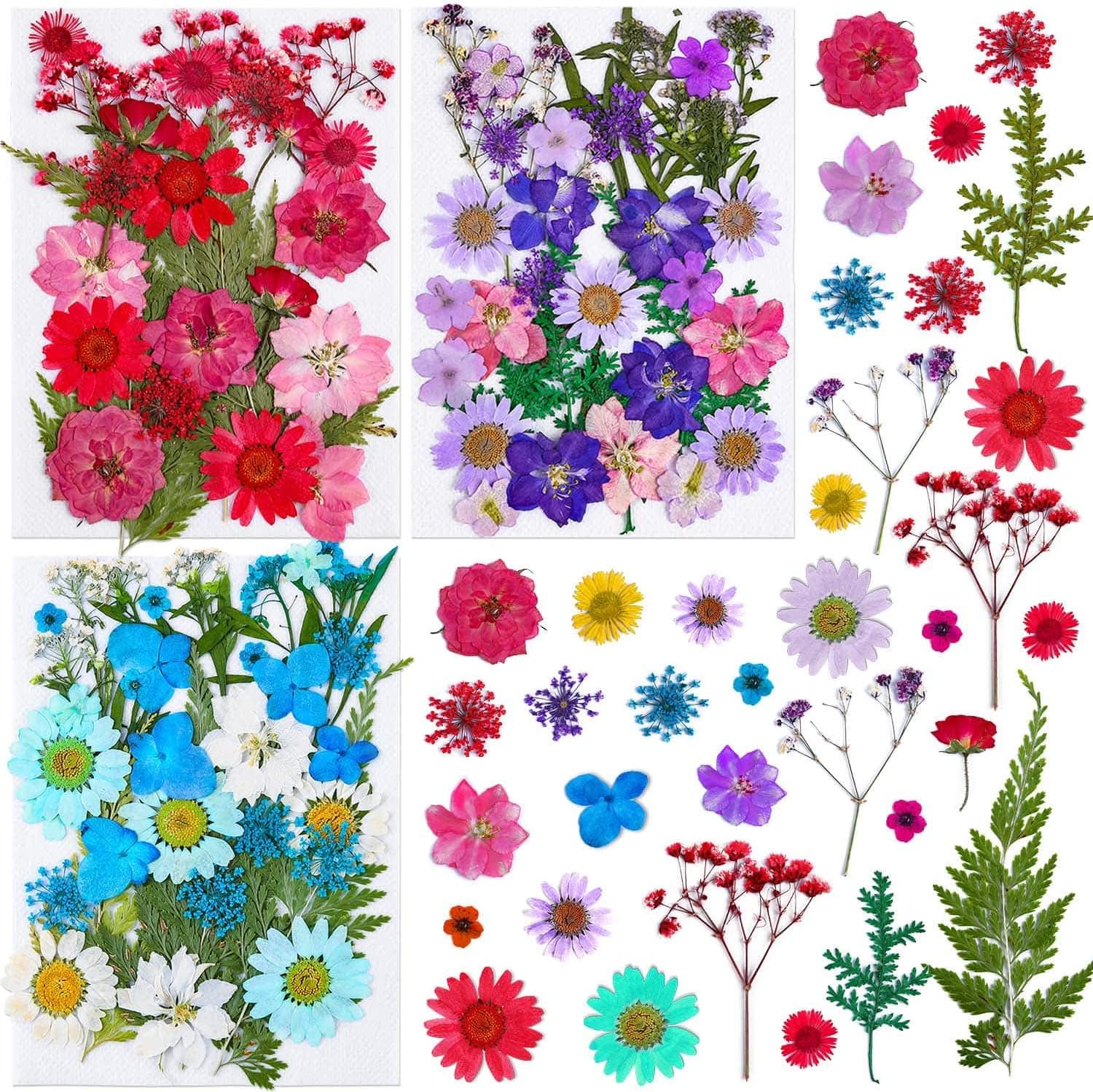 Thrilez 100Pcs Dried Flowers for Resin Crafts and DIY