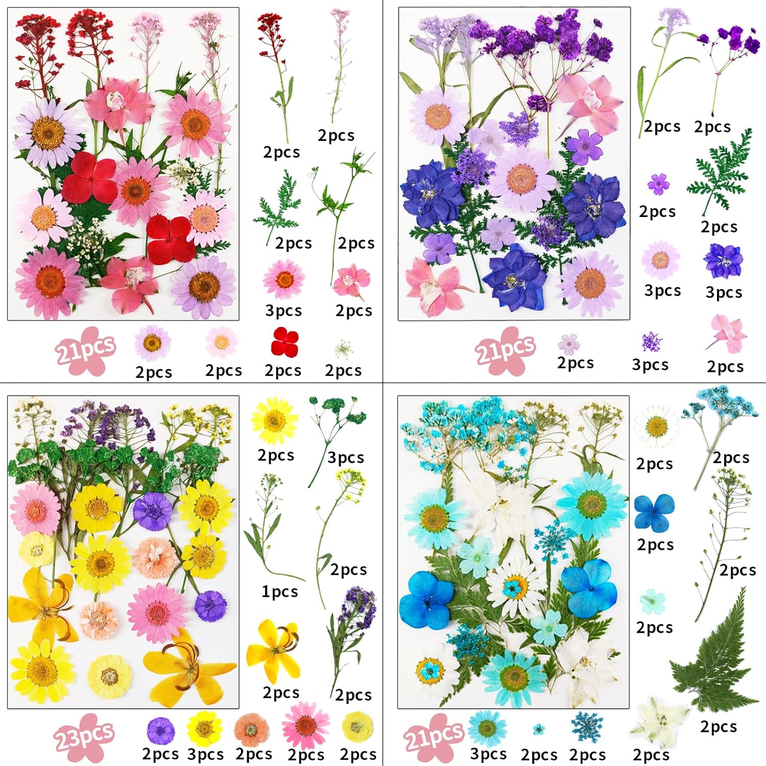 190 Pcs Dried Pressed Flowers for Resin Crafts 1