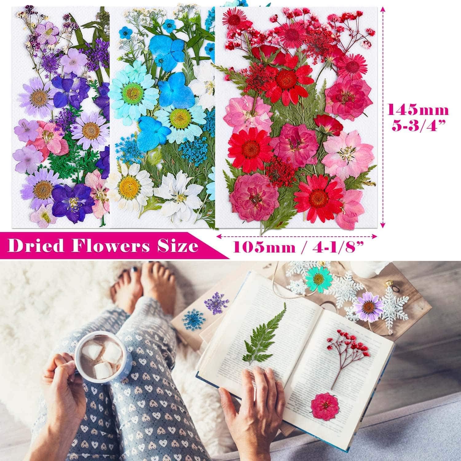Thrilez 100Pcs Dried Flowers for Resin Crafts and DIY